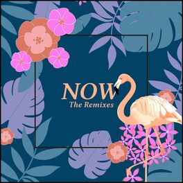 Album cover of Now: The Remixes