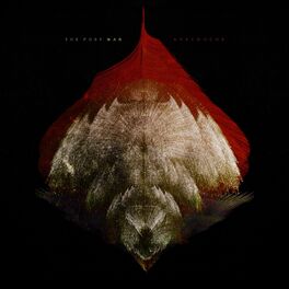 Album cover of Anecdoche