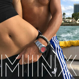 Album cover of Minx
