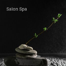Album cover of Salon Spa