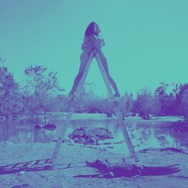 Album cover of Limits of Desire (10 Year Anniversary Reissue)