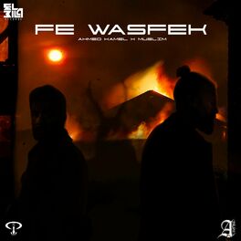Album cover of Fe Wasfek (Remix)