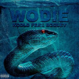 Album cover of WODIE