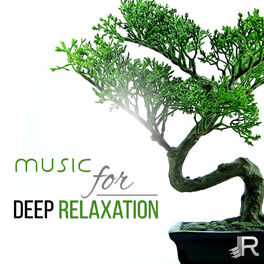 Album picture of Music for Deep Relaxation: 50 Zen Tracks, Healing Meditation, Namaste Yoga, Pure Spa Massage Music, Reiki Treatment, Serenity