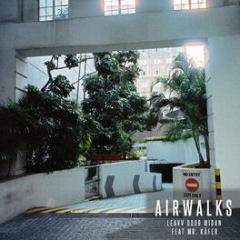 Album cover of Airwalks (feat. Mr. Käfer)