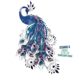Album cover of Istanbul'a (dunkelbunt Remix)