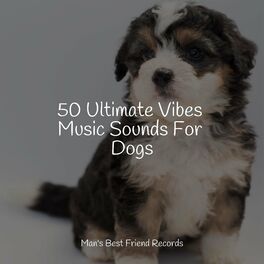 Album cover of 50 Ultimate Vibes Music Sounds For Dogs