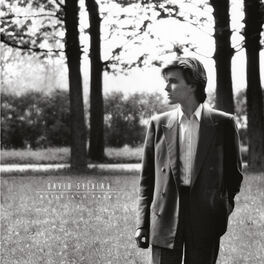 Album cover of Brilliant Trees (Remastered 2003)