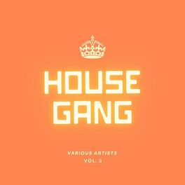 Album cover of House Gang, Vol. 3