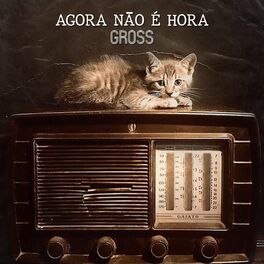 Album cover of Agora Não É Hora