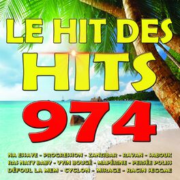 Album cover of Hit des hits 974