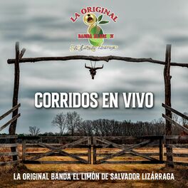Album cover of Corridos En Vivo La Original Banda El Limón