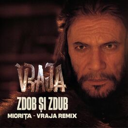 Album cover of Miorița (VRAJA Remix)