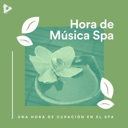 Album cover of 1 Hora de Curación en el Spa