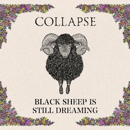 Album cover of BLACK SHEEP IS STILL DREAMING