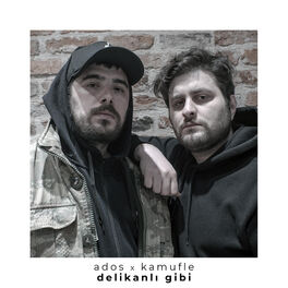 Album cover of Delikanlı Gibi
