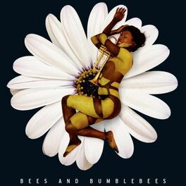 Album cover of Bees and Bumblebees