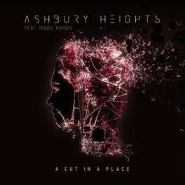 Album cover of A Cut in a Place