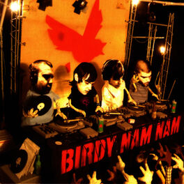 Album cover of Birdy Nam Nam
