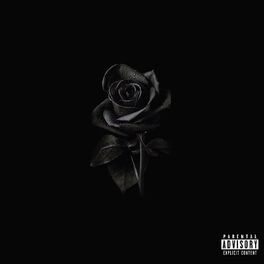 Album cover of BLACK ROSE