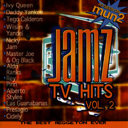 Album cover of JAMZ TV Hits, Vol. 2