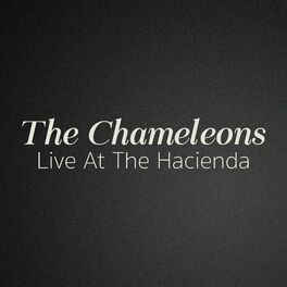 Album cover of Live At The Hacienda