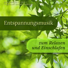 Album cover of Entspannungsmusik zum Relaxen und Einschlafen
