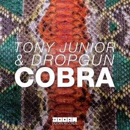 Album cover of Cobra