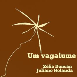 Album cover of Um Vagalume