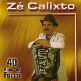 Album cover of 40 Anos de Forró