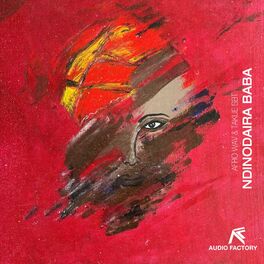 Album cover of Ndinodaira Baba