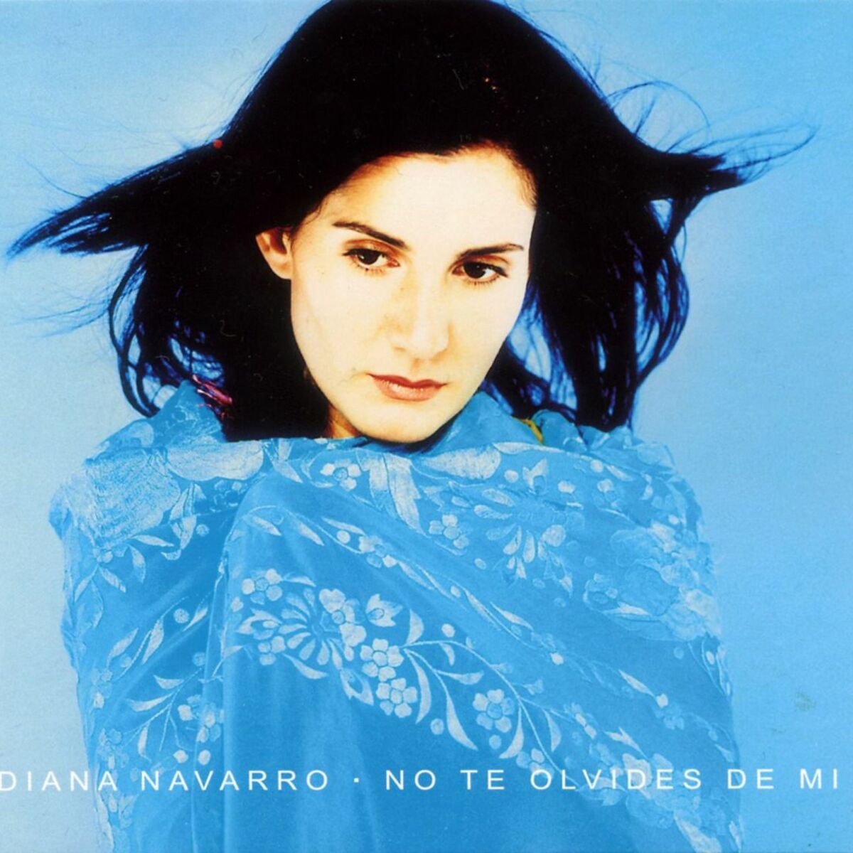 Diana Navarro - Desnuda vengo aquí: listen with lyrics | Deezer