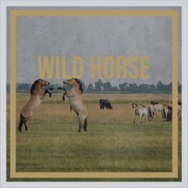 Album cover of Wild Horse