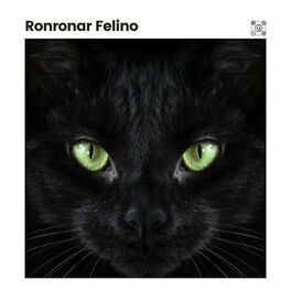 Album cover of Ronronar Felino