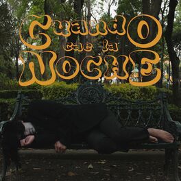 Album cover of Cuando Cae la Noche
