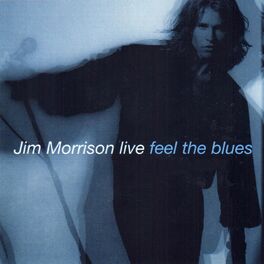Album cover of Feel the Blues