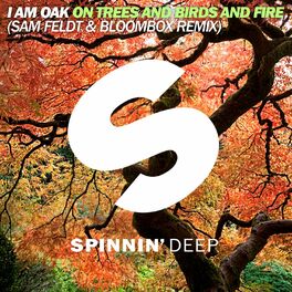 Album cover of On Trees And Birds And Fire (Sam Feldt & Bloombox Remix)
