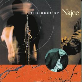 Album cover of The Best Of Najee