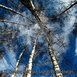 Album cover of 31 Soothing Rest Rain Sounds For Meditation