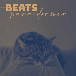 Album cover of Beats Para Dormir