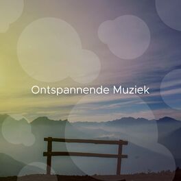 Album cover of Ontspannende Muziek
