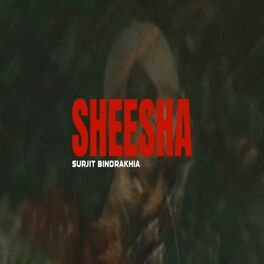 Album cover of Sheesha