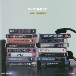 Album cover of Sentiment (The Remixes)