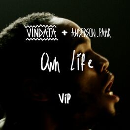Album cover of Own Life (feat. Anderson .Paak) (VIP Mix)