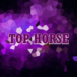 Album cover of Top Horse