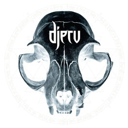Album cover of Djerv