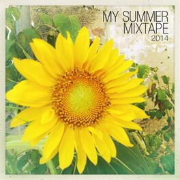 Album cover of My Summer Mixtape 2014
