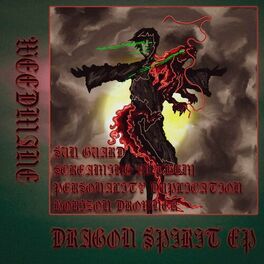 Album cover of DRAGON SPIRIT