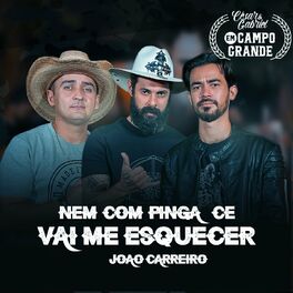 Album cover of Nem Com Pinga Cê Vai Me Esquecer (Em Campo Grande)