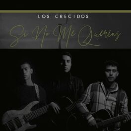 Album cover of Si No Me Querías